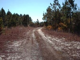 1345-1347 Hwy 172, Holly Ridge, NC for sale - Primary Photo - Image 1 of 1