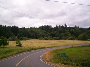 Swedetown Rd & E Columbia Hwy, Clatskanie, OR for sale Primary Photo- Image 1 of 1