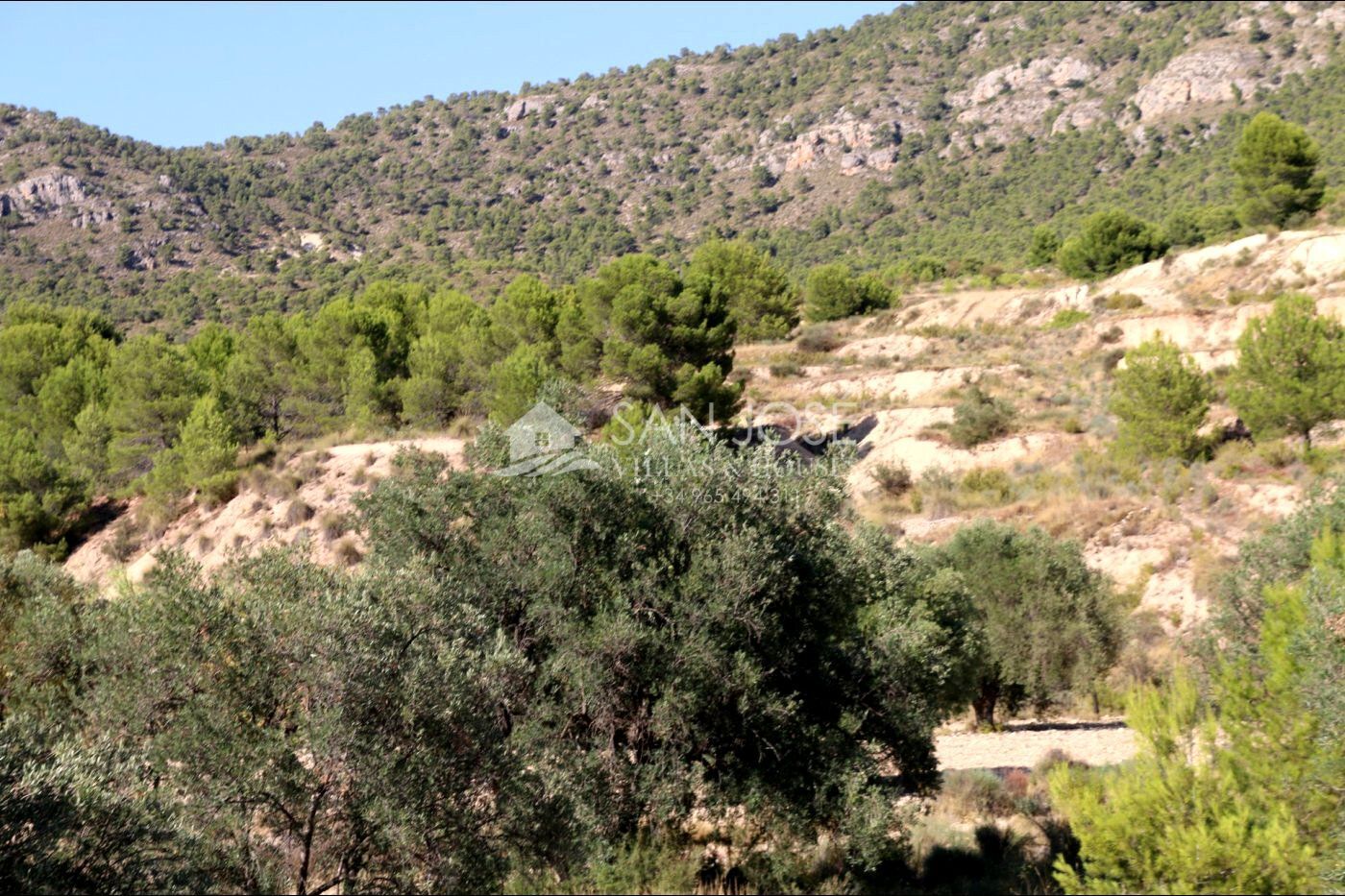 Land in MONÒVER, Alicante for sale Primary Photo- Image 1 of 24