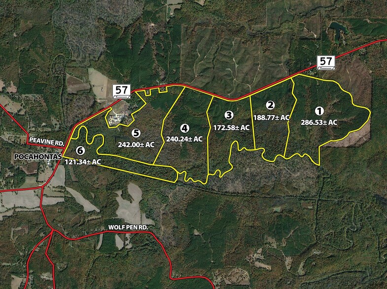 57 Pocahontas rd, Pocahontas, TN for sale - Building Photo - Image 1 of 12