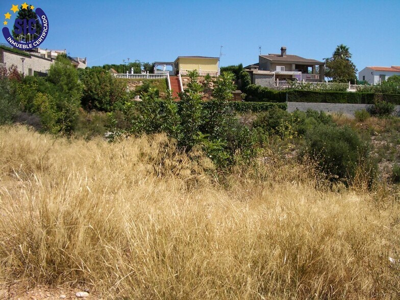 Land in Turís, Valencia for sale - Primary Photo - Image 1 of 22