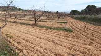More details for Camino de los Charquillos, Yecla - Land to Rent