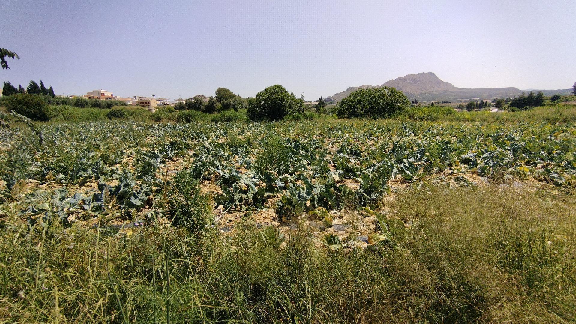 Land in Calasparra, Murcia for sale Building Photo- Image 1 of 8