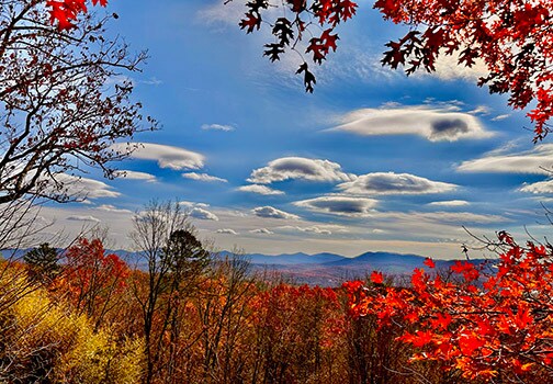 2350 Squirrel Hunting Road, Morganton, GA for sale Primary Photo- Image 1 of 14