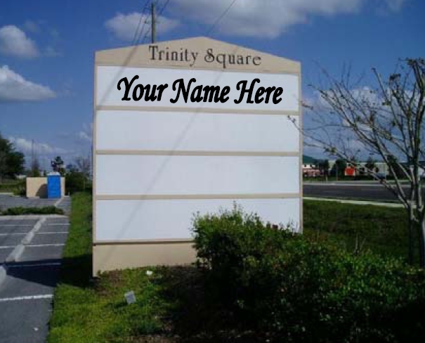 2439 Country Place Blvd, Trinity, FL for rent - Other - Image 2 of 7