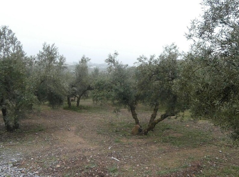Land in Peligros, Granada for sale - Building Photo - Image 3 of 28
