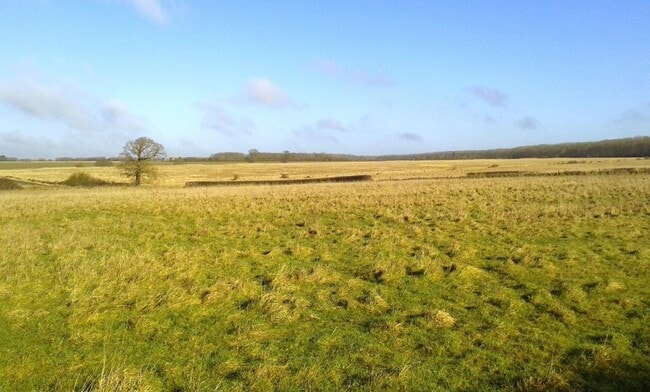 More details for Hawthorpe, Bourne - Land for Sale