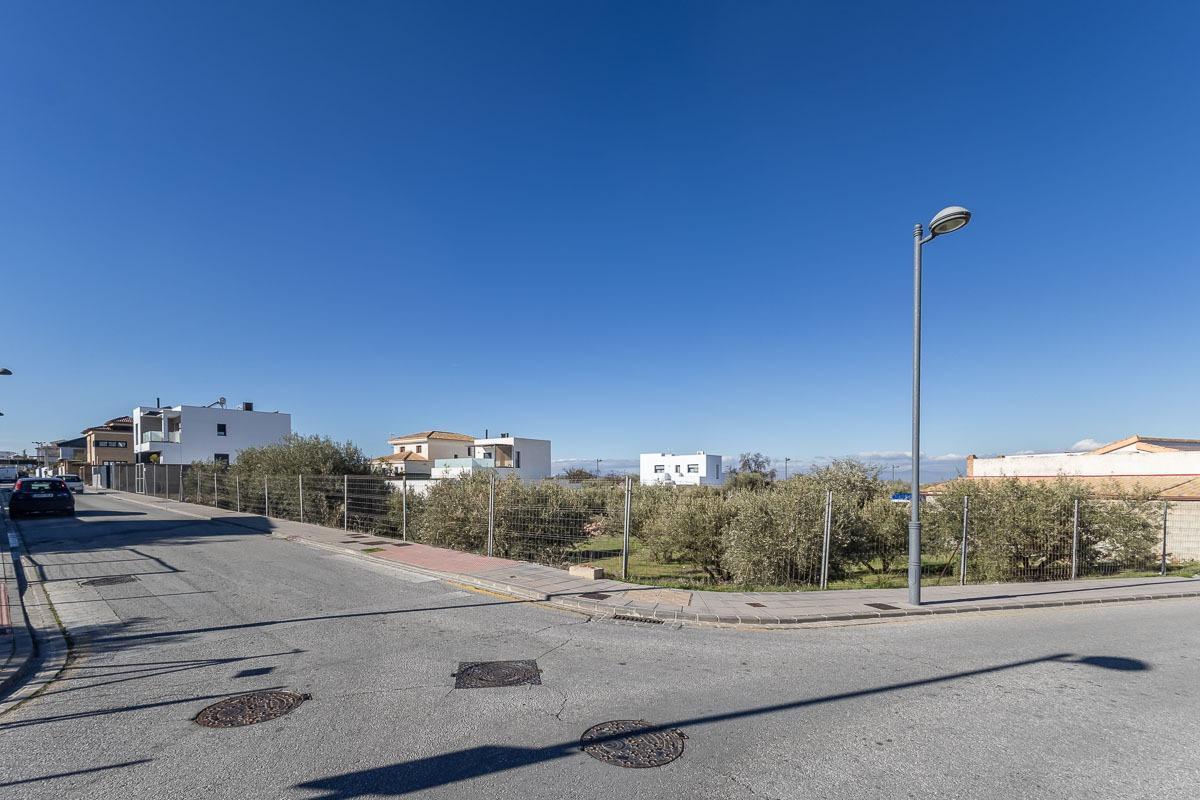 Land in La Zubia, Granada for sale Building Photo- Image 1 of 12