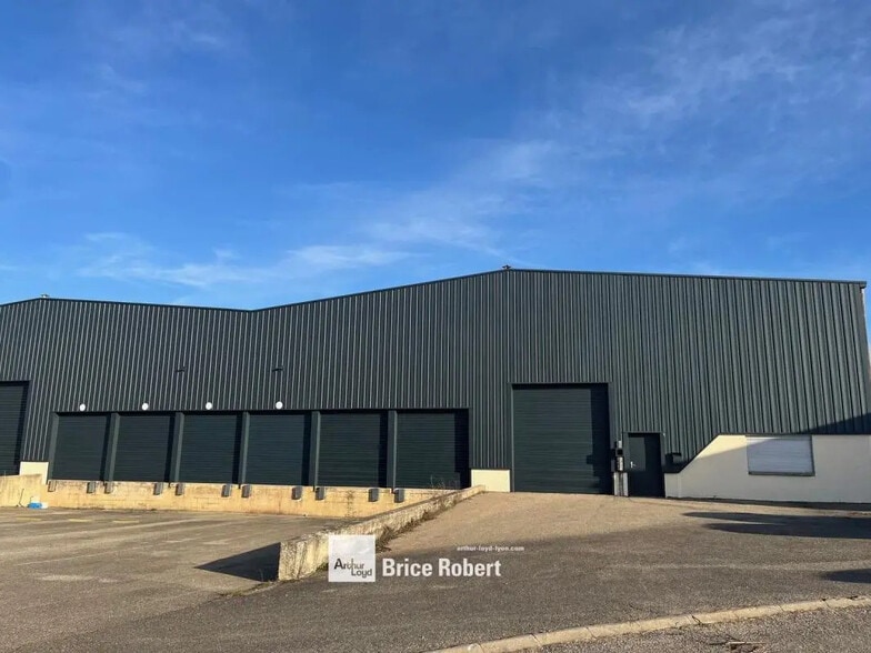 9 Avenue Du Maréchal De Lattre De Tassigny, Meyzieu to rent - Building Photo - Image 2 of 7