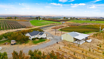 Zillah Farm - Commercial Property