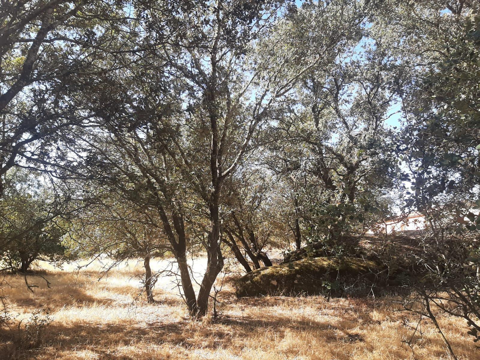 Land in Torreorgaz for sale Building Photo- Image 1 of 7