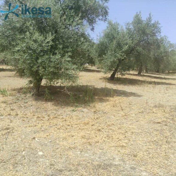 Land in Jaén, Jaén for sale - Building Photo - Image 2 of 22