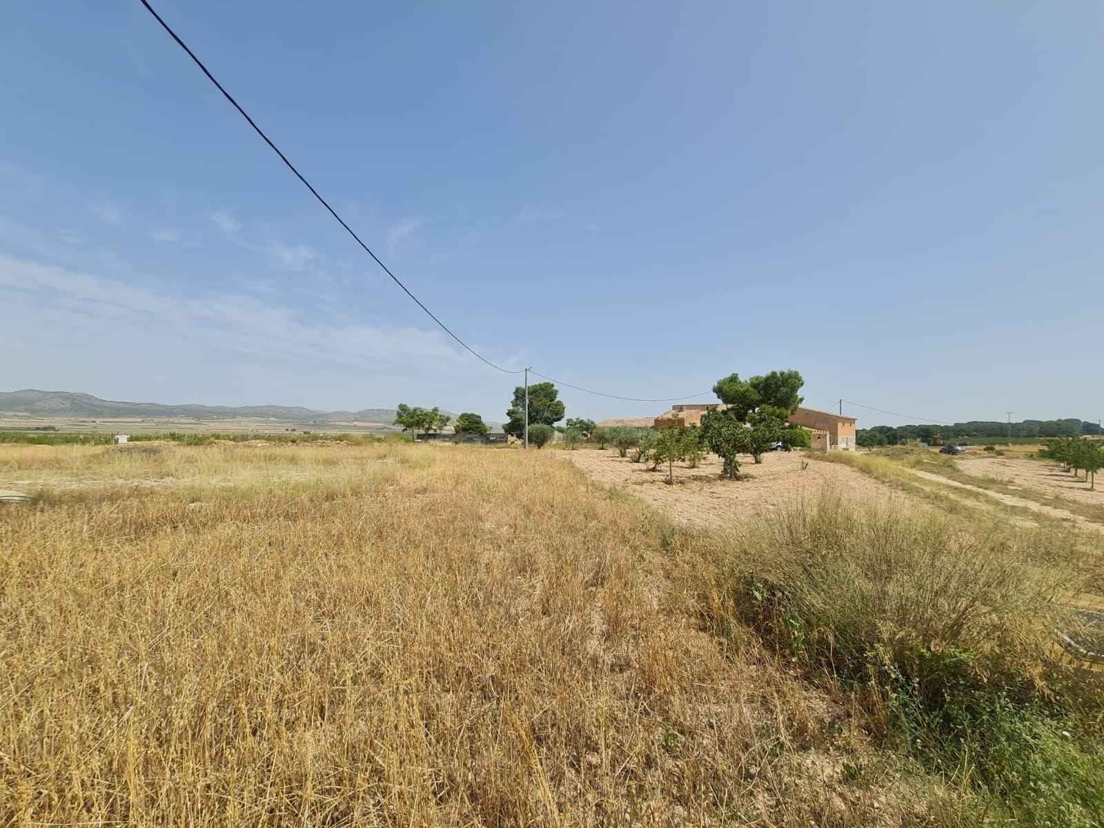 Land in Yecla, Murcia for sale Primary Photo- Image 1 of 9