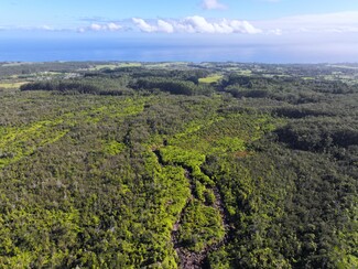 More details for 29-773 Chin Chuck Rd, Hakalau, HI - Land for Sale