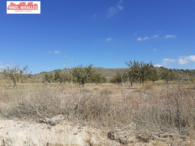 Carretera de Barinas-Pinoso, 1, Abanilla, Murcia for sale - Aerial - Image 3 of 3