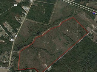 More details for I-16 & Hwy 96, Jeffersonville, GA - Land for Sale