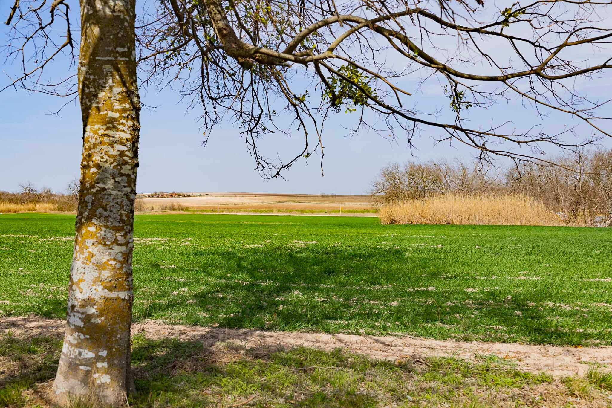 7531 FM 1105, Jarrell, TX for sale Aerial- Image 1 of 1