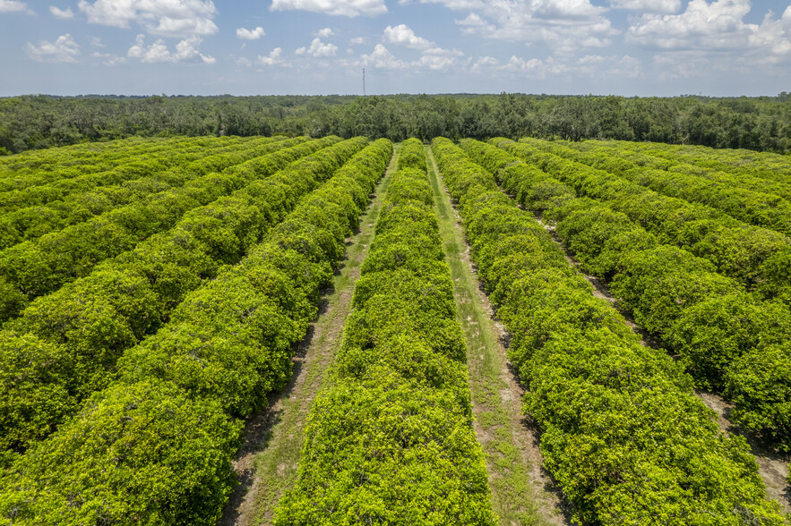 28100 45th E, Myakka City, FL for sale - Primary Photo - Image 1 of 1