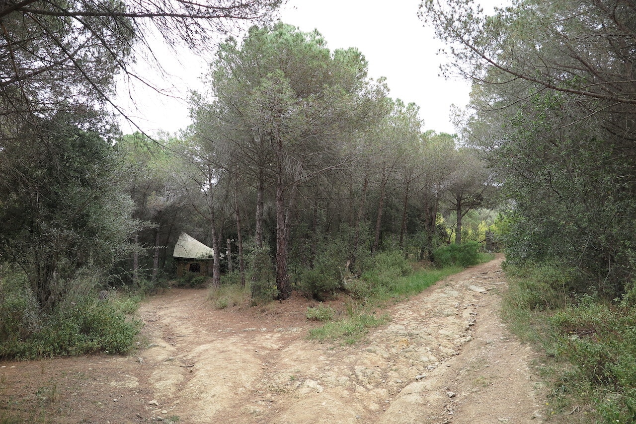 Land in La Llagosta, Barcelona for sale Primary Photo- Image 1 of 6