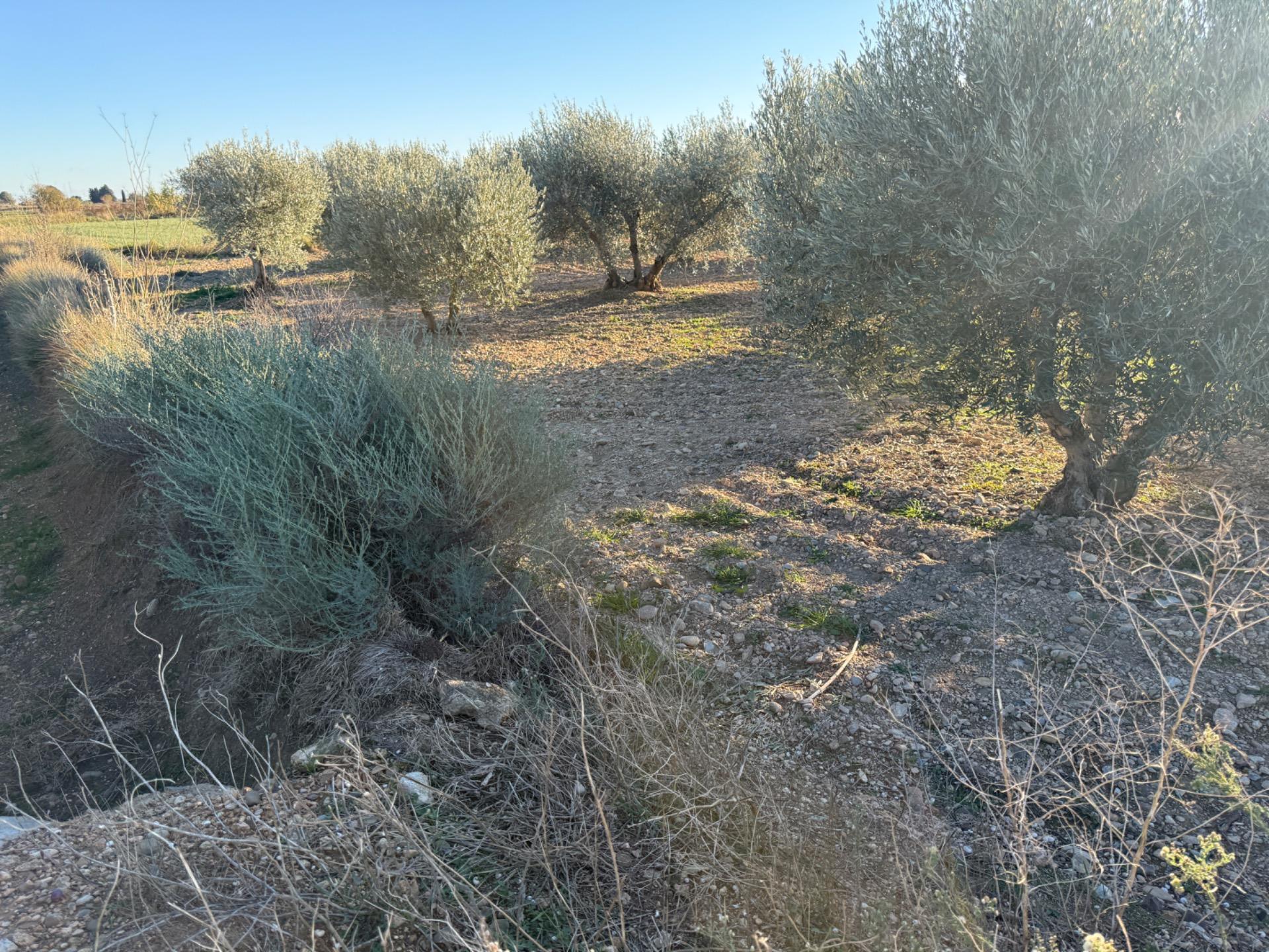 Land in Villamayor de Gállego for sale Building Photo- Image 1 of 15