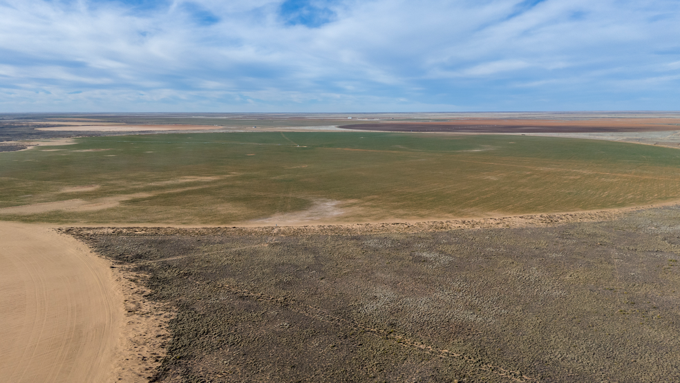 TBD CR 260, Morton, TX for sale - Other - Image 3 of 7