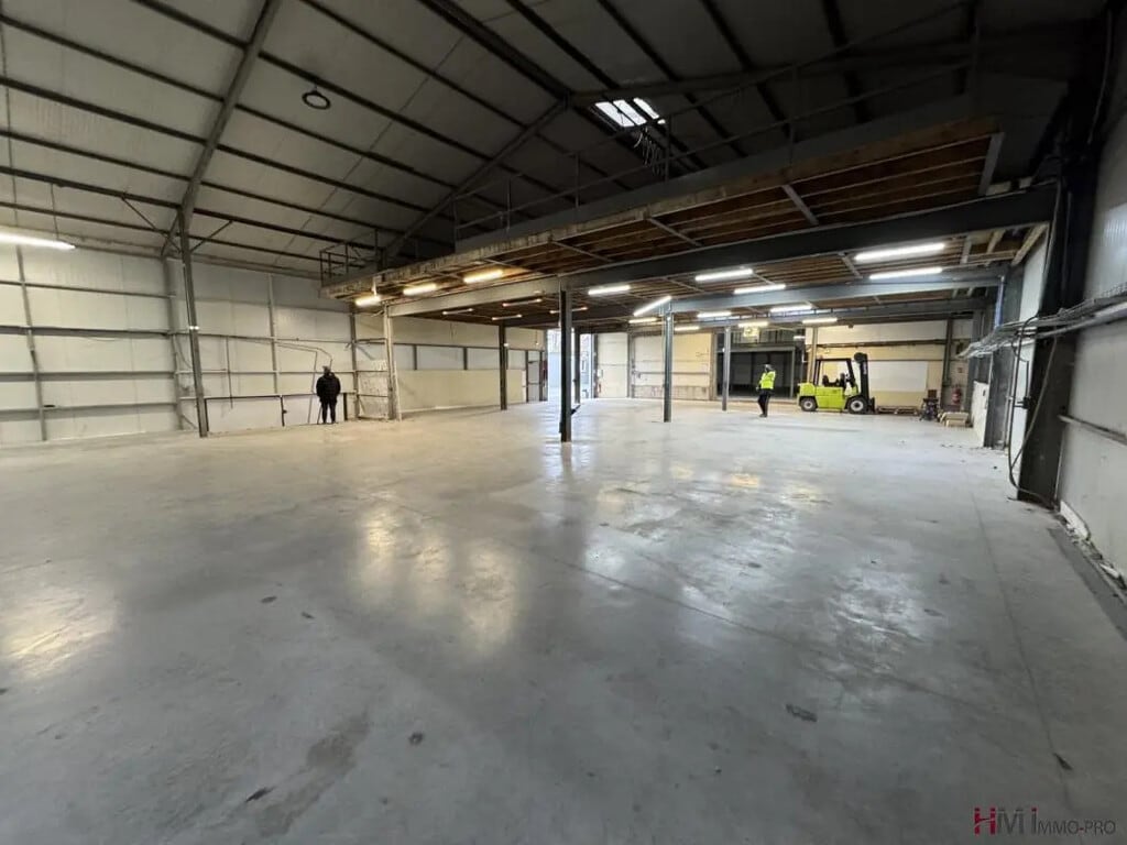 Vente Local d'activités 1 200 m² - Photo 1