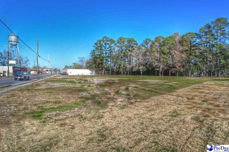 More details for 226 S Richardson St, Latta, SC - Land for Rent