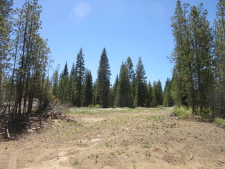 More details for Highway 97 Hwy, Chiloquin, OR - Land for Sale