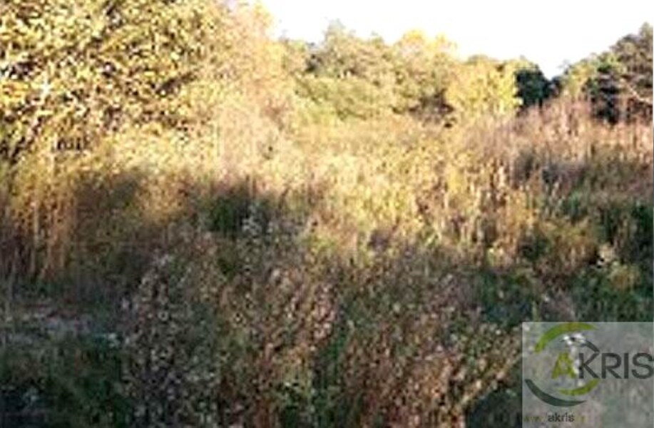 Land in Vidreres, Gerona for sale Primary Photo- Image 1 of 3