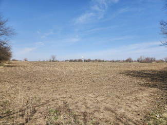 More details for 0 Hanover, Carlock, IL - Land for Sale