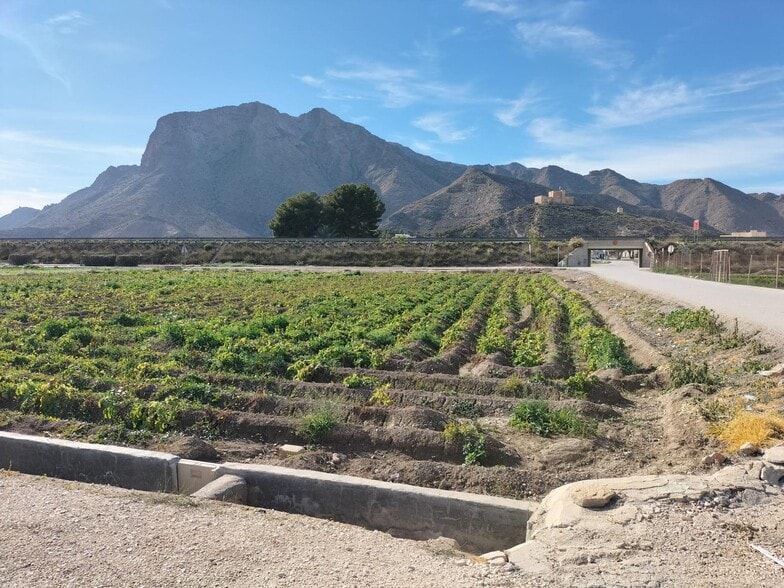 Land in Cox, Alicante for sale - Aerial - Image 3 of 4