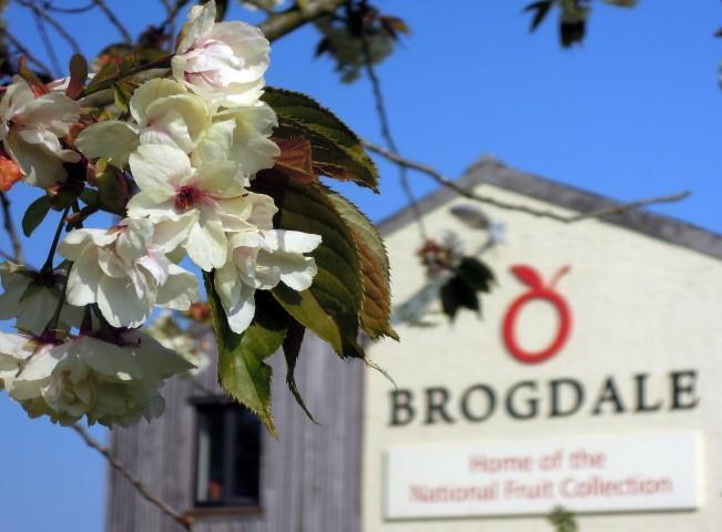 Brogdale Rd, Faversham for sale Building Photo- Image 1 of 1