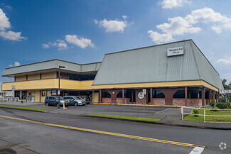 More details for 88 Kanoelehua Ave, Hilo, HI - Office for Rent