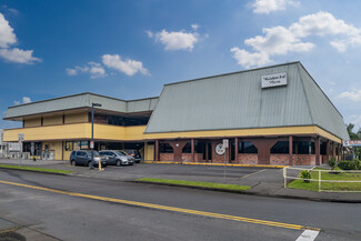 More details for 88 Kanoelehua Ave, Hilo, HI - Office for Rent