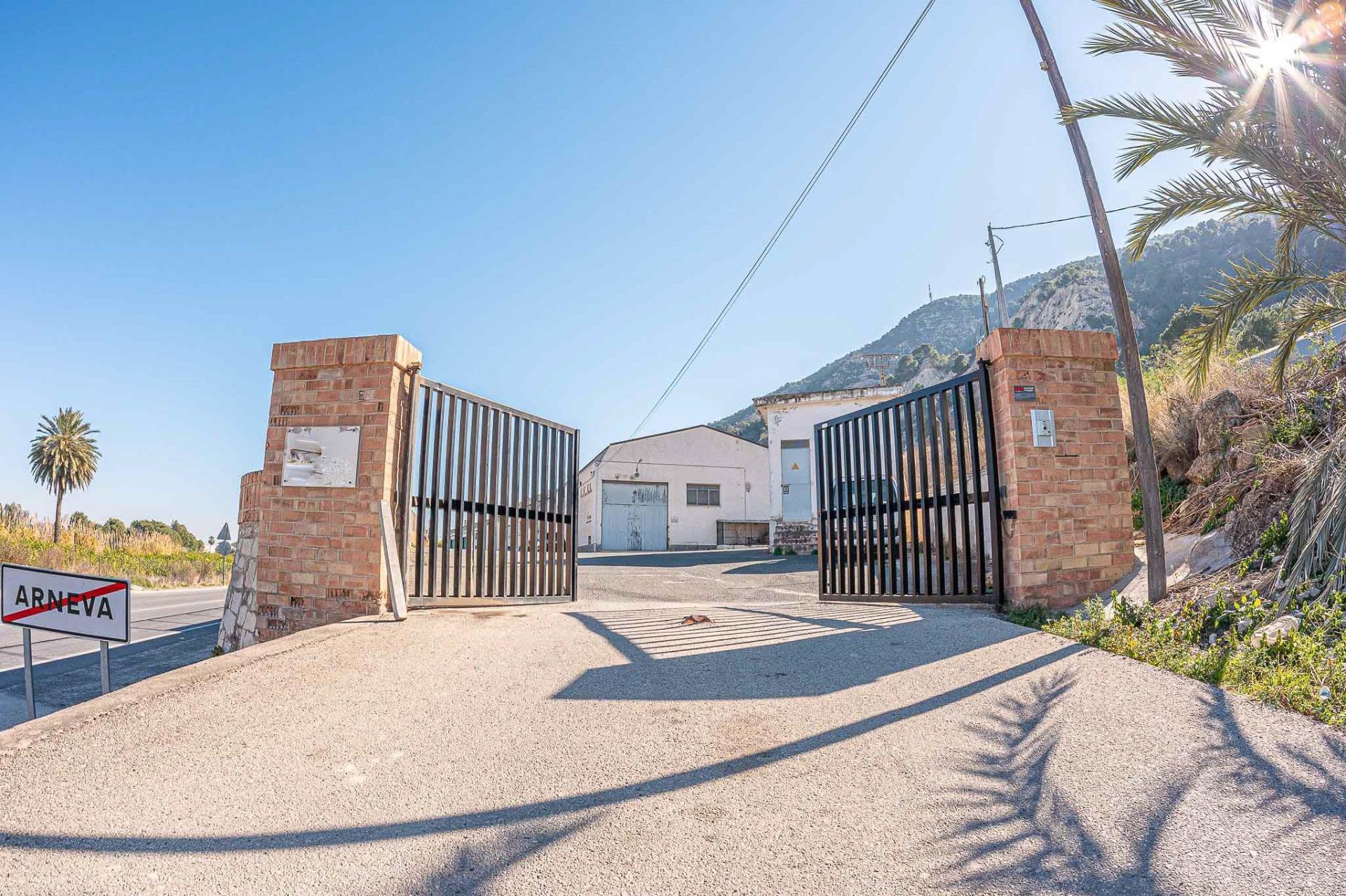 Industrial in Orihuela to rent Building Photo- Image 1 of 42