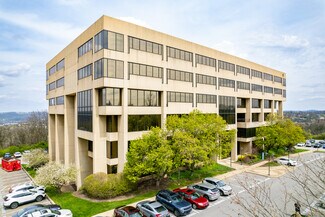 More details for 750 Holiday Dr, Pittsburgh, PA - Office for Rent