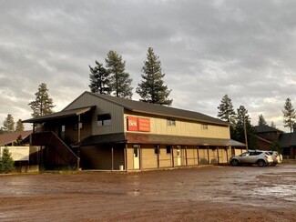 More details for 3096 Highway 83, Seeley Lake, MT - Retail for Sale