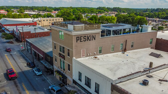 The Peskin Building - Commercial Property