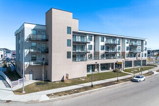 More details for 70 Saddlepeace Rd NE, Calgary, AB - Retail to Rent