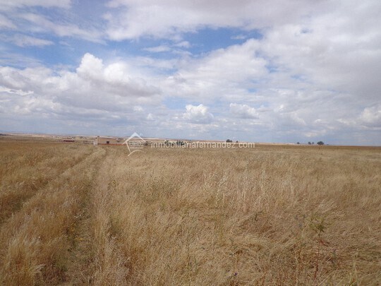 Land in Cáceres, Cáceres for sale Aerial- Image 1 of 3