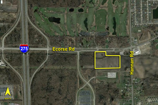 More details for 39611 Ecorse Rd, Van Buren Township, MI - Land for Sale