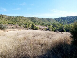 More details for Land for Sale