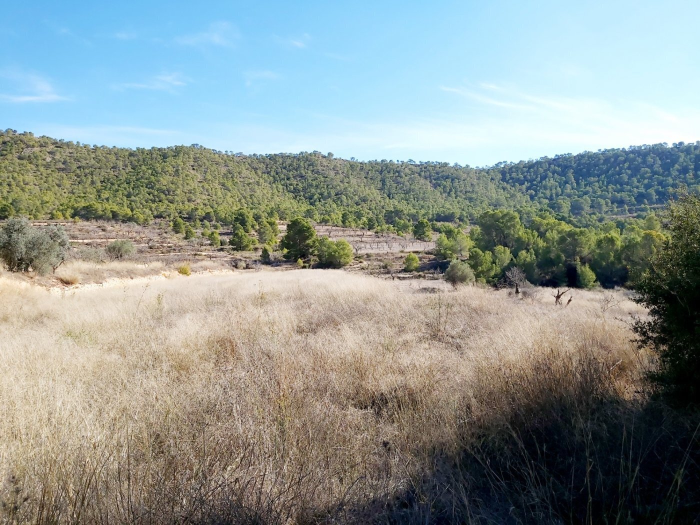 Land in La Romana, Alicante for sale Aerial- Image 1 of 4