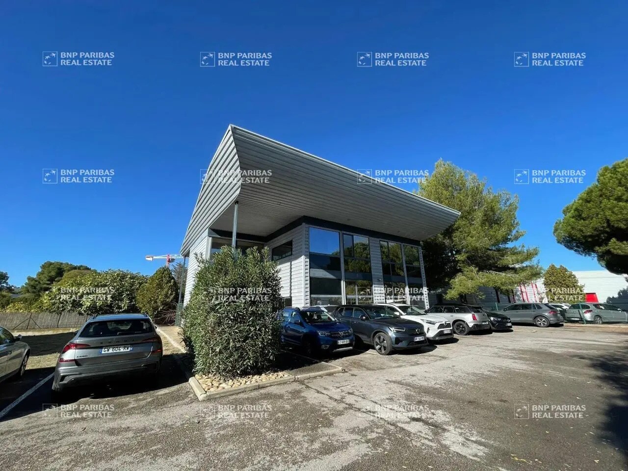 Office in Montpellier to rent Primary Photo- Image 1 of 19
