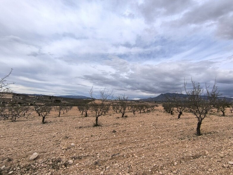 Land in Yecla, Murcia for sale - Aerial - Image 3 of 4