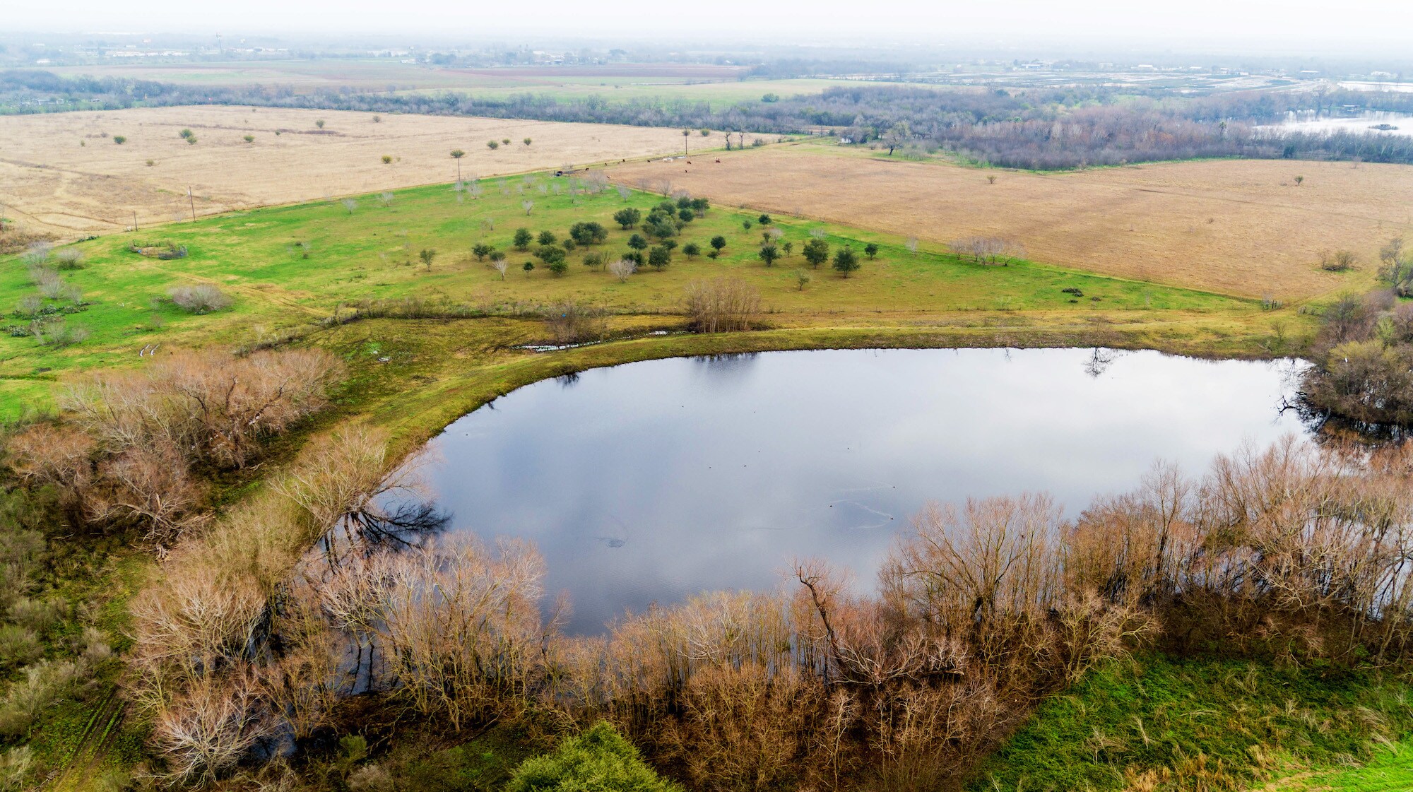 14215 Quintana Rd, Atascosa, TX for sale Other- Image 1 of 1