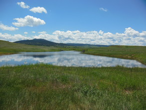 19752 Praire Ridge Rd, Spearfish, SD for sale Primary Photo- Image 1 of 1