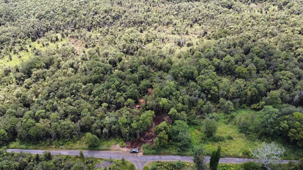 Mauna Loa Dr, Volcano, HI for sale - Aerial - Image 2 of 7