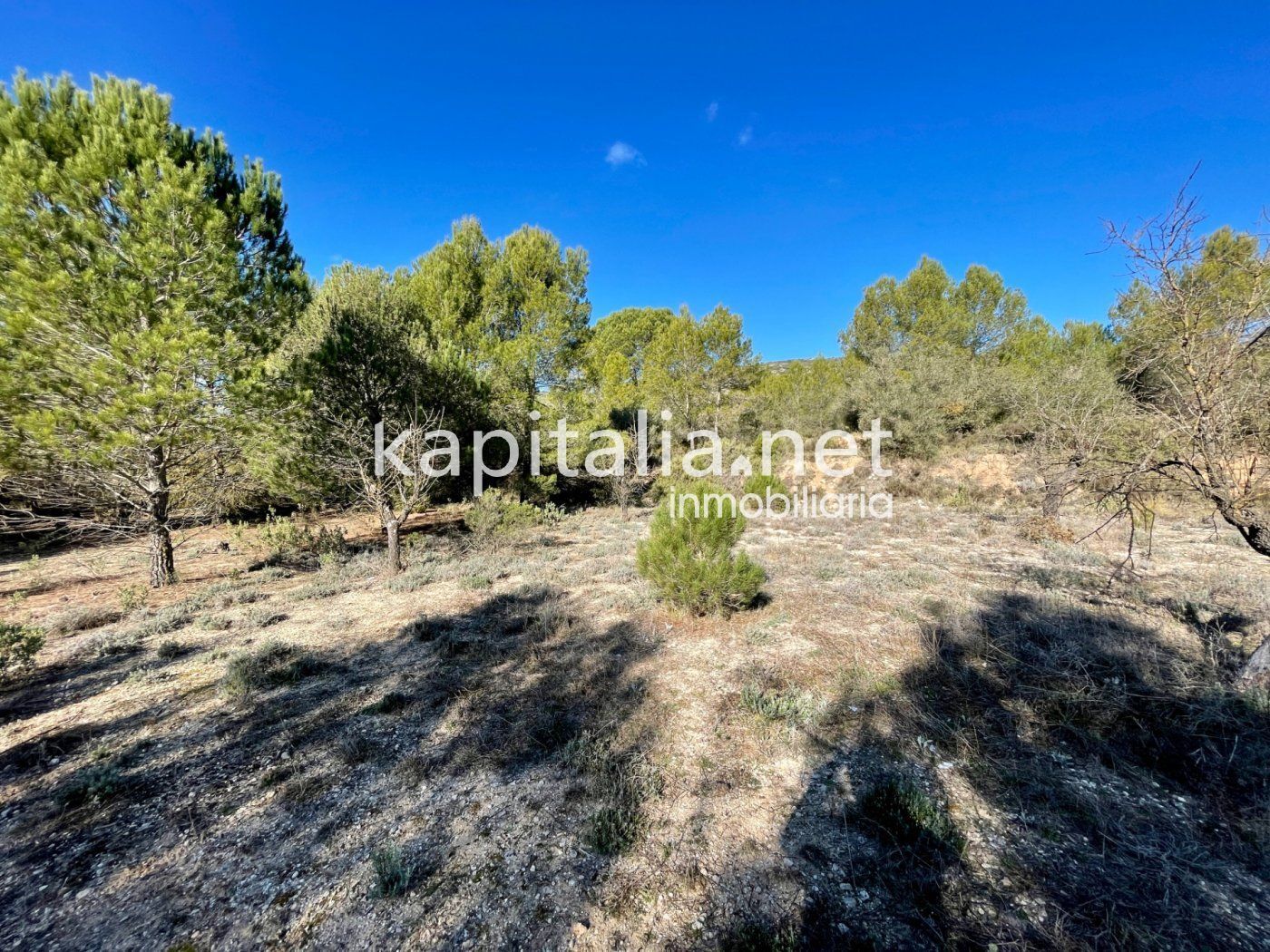 Land in Bocairent, Valencia for sale Primary Photo- Image 1 of 6