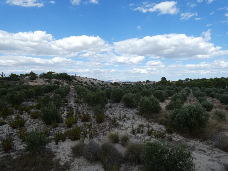 Land in Molina de Segura for sale - Aerial - Image 2 of 12